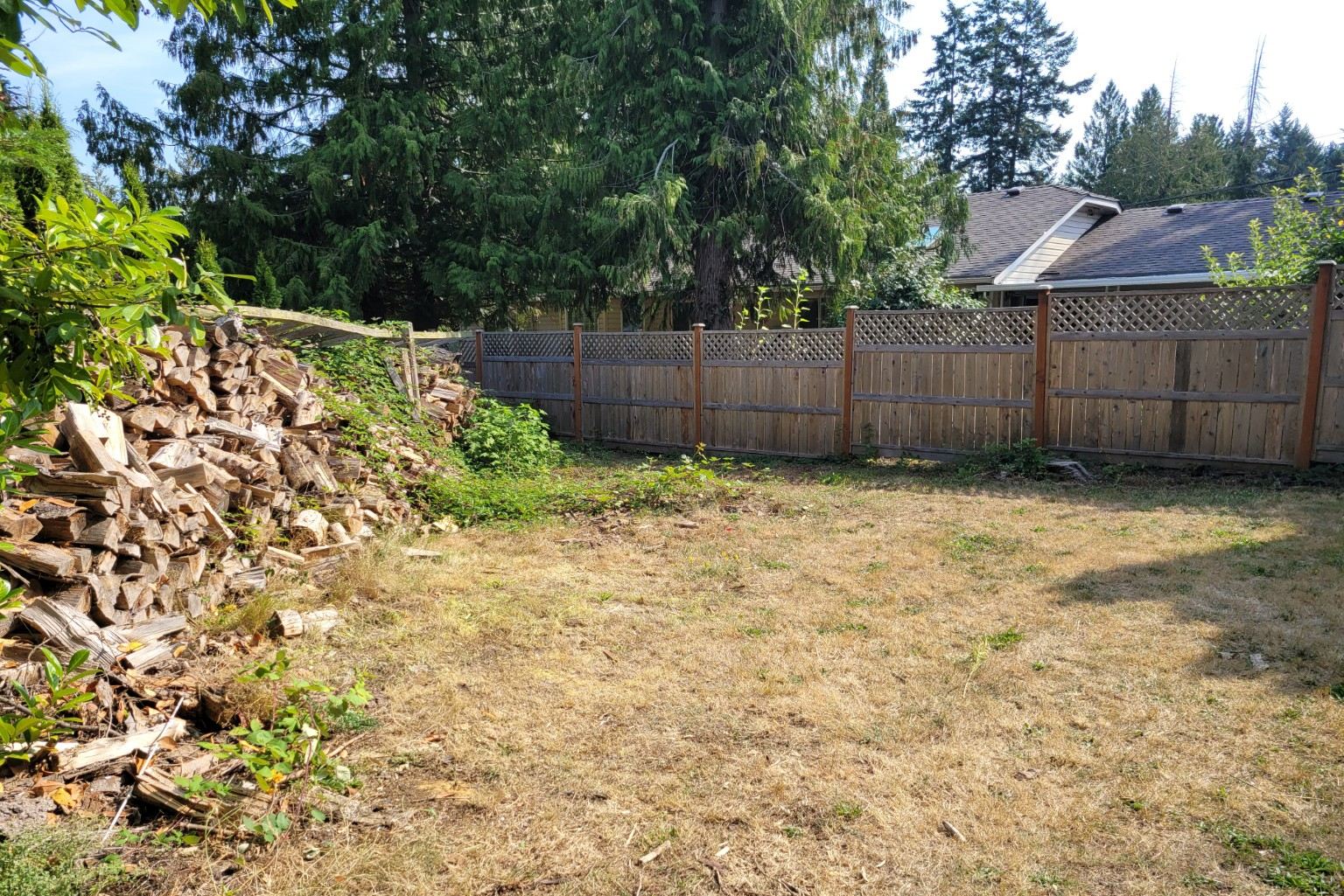 The same backyard cleared to lawn