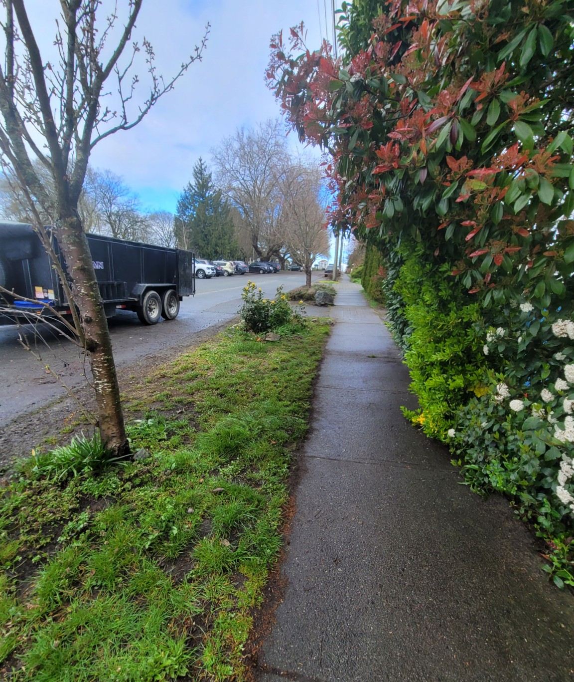 The same Nanaimo boulevard clear and swept after the Junk Matters furniture pickup