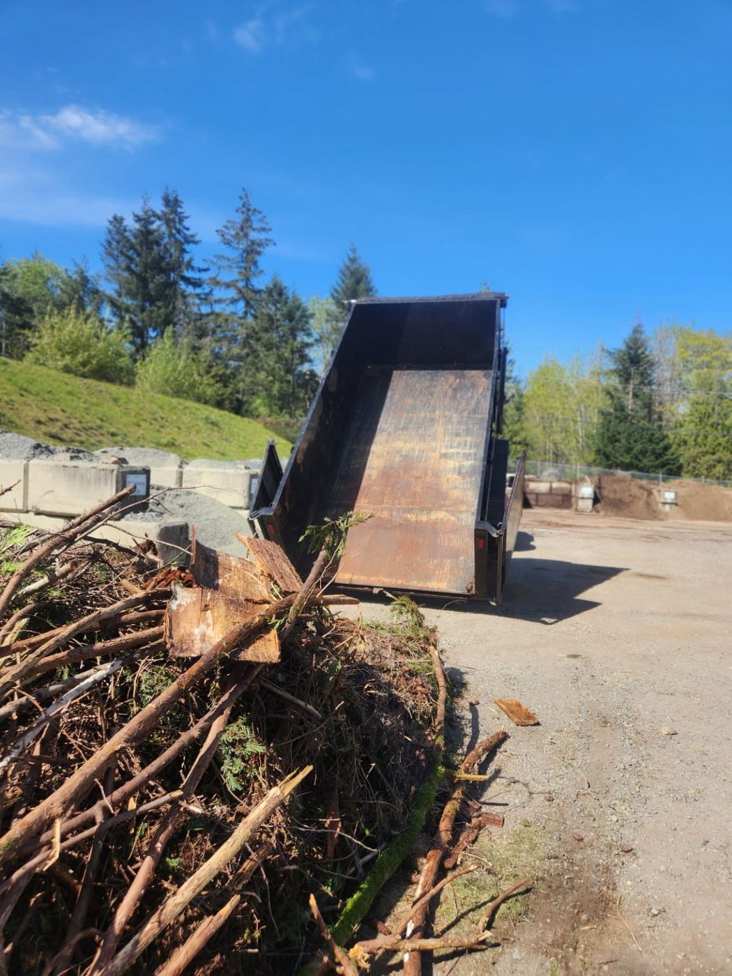 The Junk Matters dump trailer tipping a load of branches and brush at the Nanaimo green waste facility