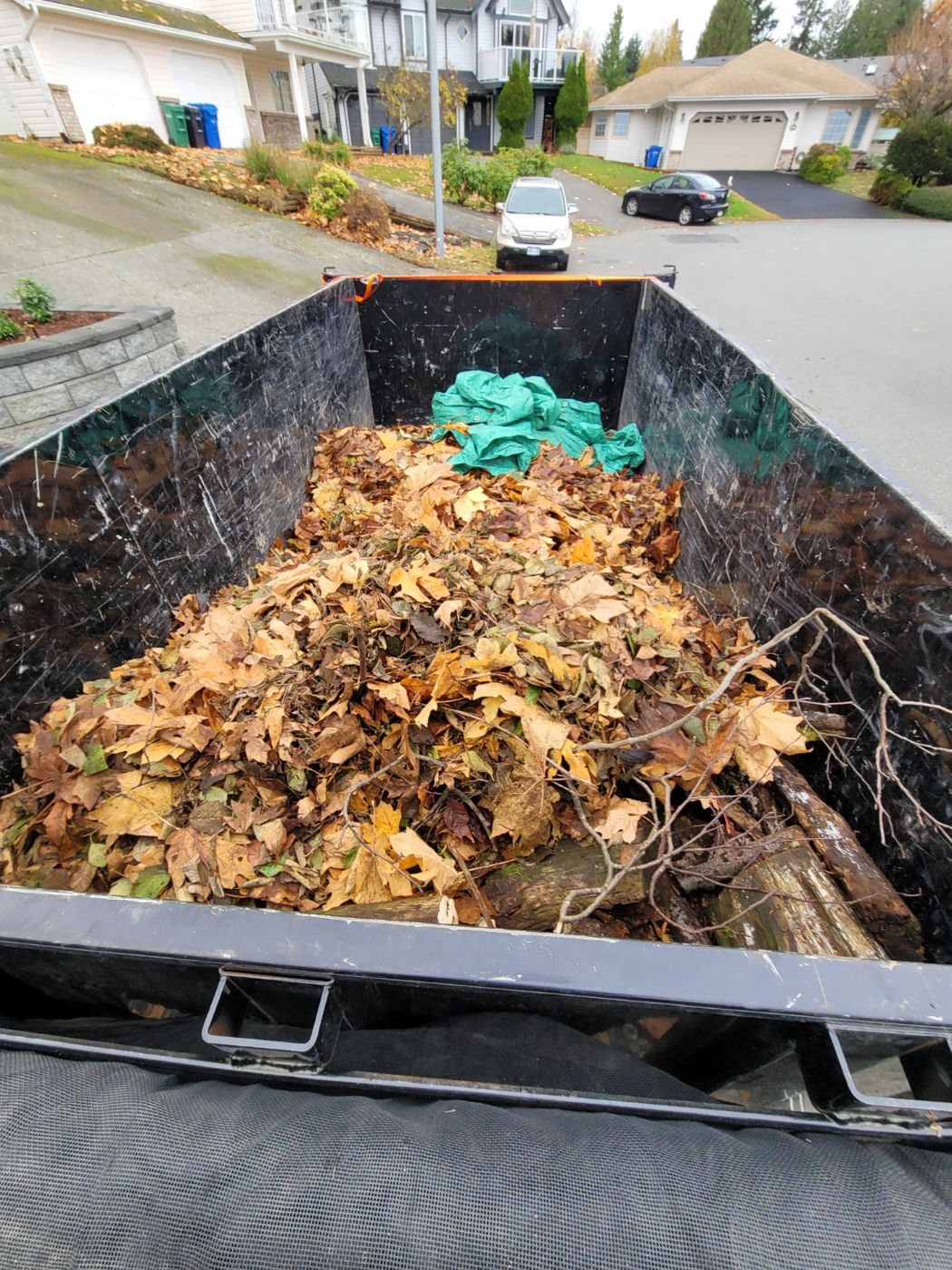 A Junk Matters trailer filled with raked autumn leaves and garden debris on a Nanaimo street